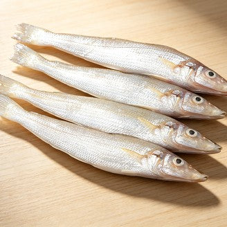 Fresh Whole Sea Fish